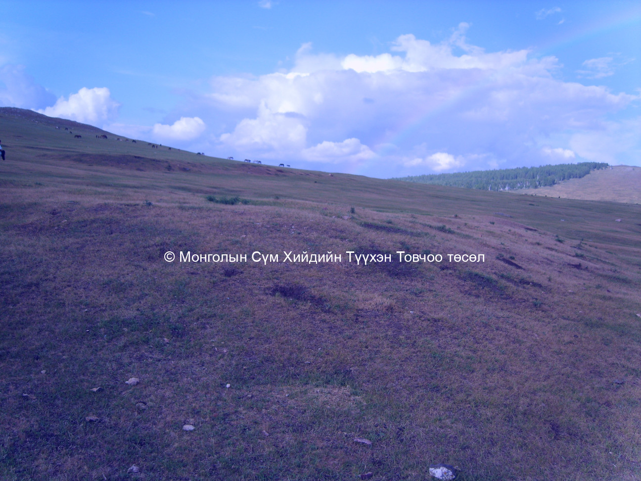 Буруун-Өмнөд талаас авсан